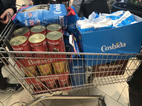 Akcji na rzecz schroniska dla Bezdomnych Zwierząt w Dyminach