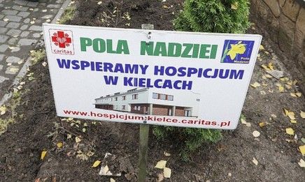 pola nadzieji