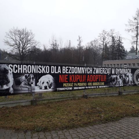 Odwiedziny w Schronisku dla Bezdomnych Zwierząt w Dyminach