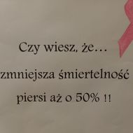 Różowy Październik w Ściegiennym