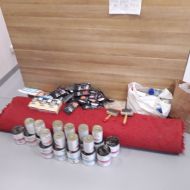 Odwiedziny w Schronisku dla Bezdomnych Zwierząt w Dyminach