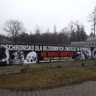 Odwiedziny w Schronisku dla Bezdomnych Zwierząt w Dyminach