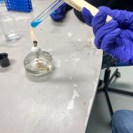 Wizyta studyjna w ramach projektu „Młodzi Kreatorzy Przyszłości”