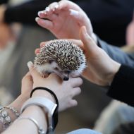 Budujemy relacje - warsztaty dla młodzieży