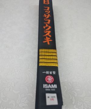 Nauczyciel V LO w Kielcach otrzymał 5 dan w Karate Kyokushinkai