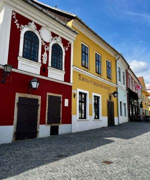 Klasa 2b przywitała wiosnę w Budapeszcie