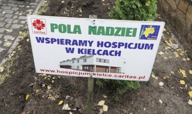 pola nadzieji