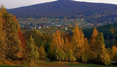 Ściegienniacy promują gwarę świętokrzyską